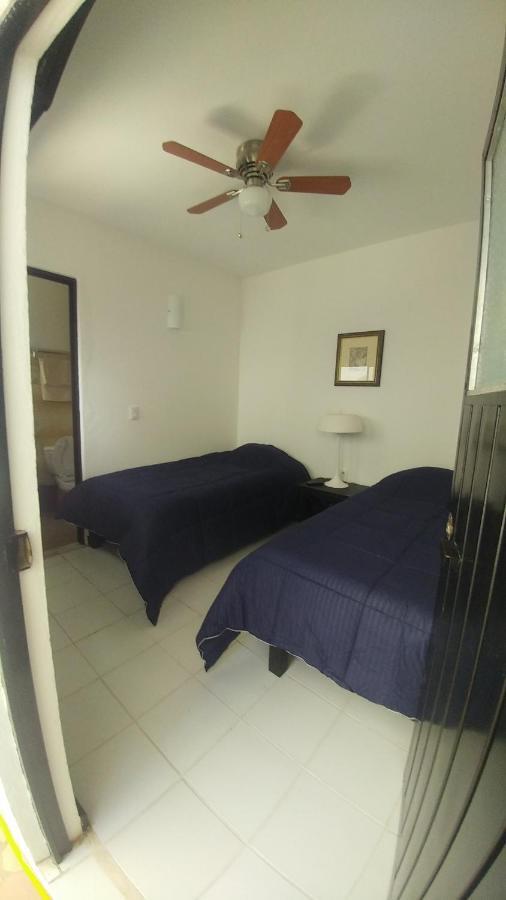 Casa Shalom Hotel Oaxaca Ngoại thất bức ảnh